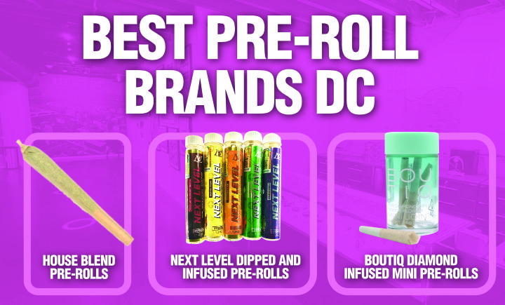 Pre-Roll Buying Guide Washington DC - LEGACY DC WEED