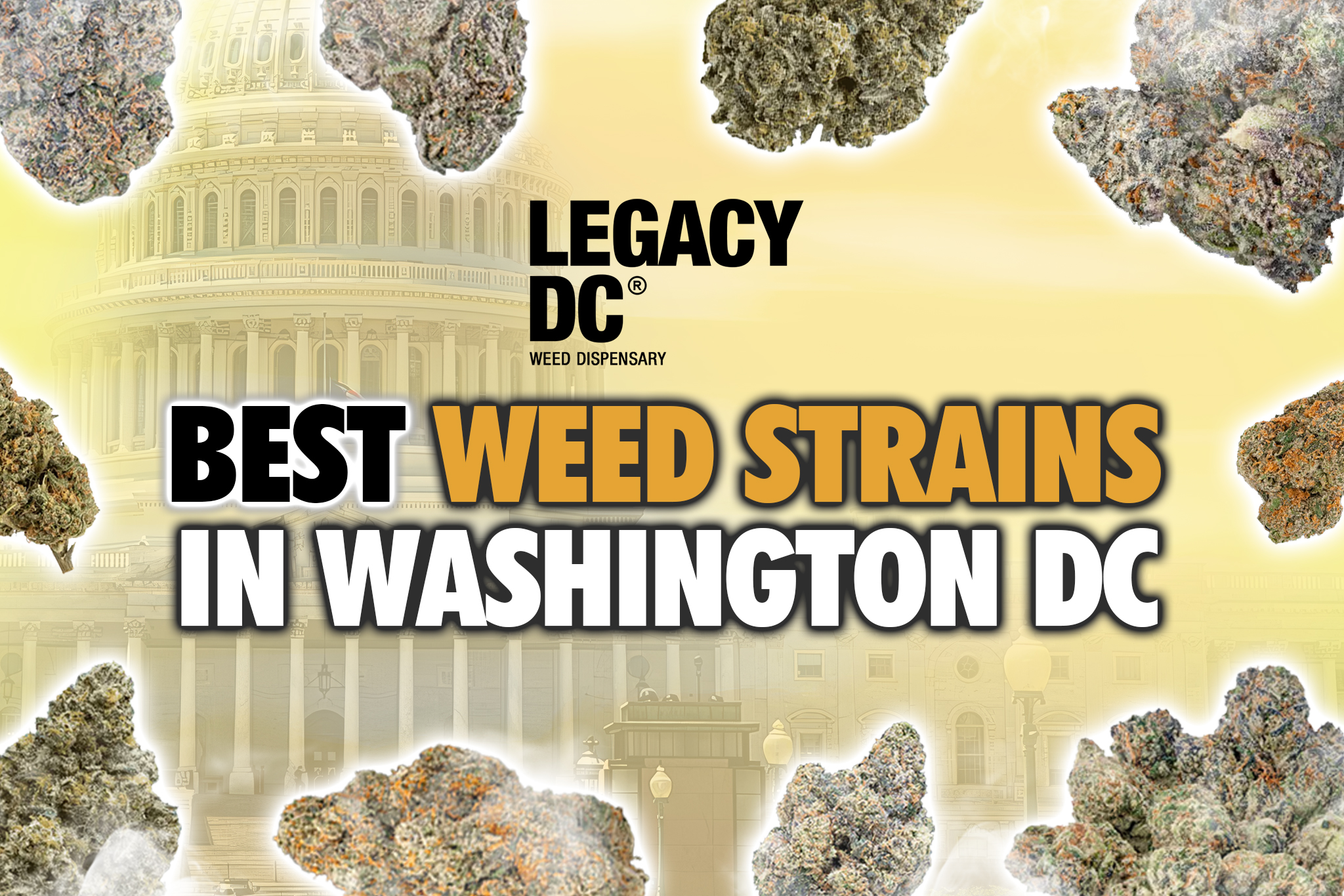 best weed strains in washington dc